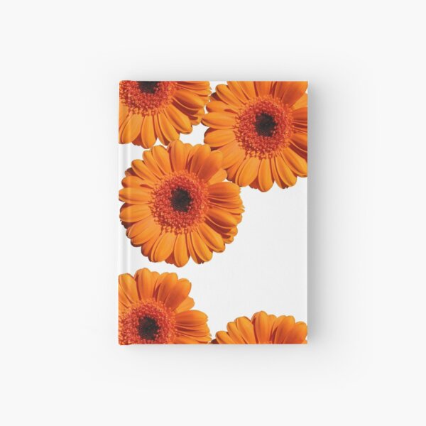 Hardcover Journal