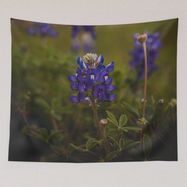 Item preview, D Lawson Photography - Bluebonnet designed and sold by Danielle Lawson.