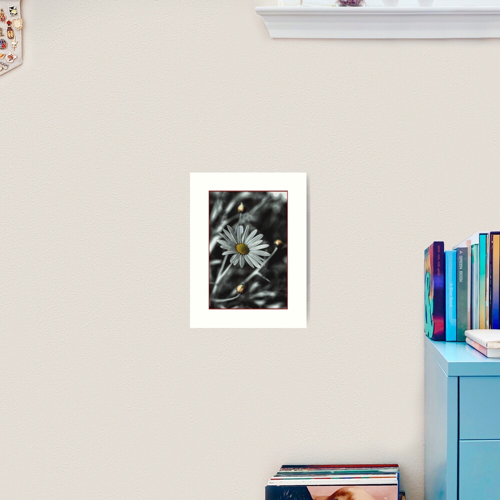 Daisy Art Print