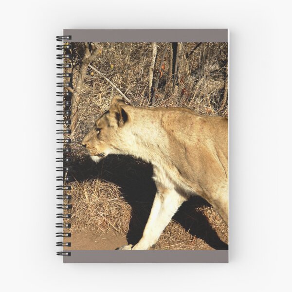 Item preview, Lion on a Mission designed and sold by 2CrabbySisters.