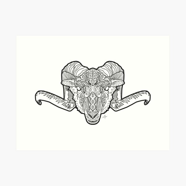 Norse Curly Horn Ram Art Print