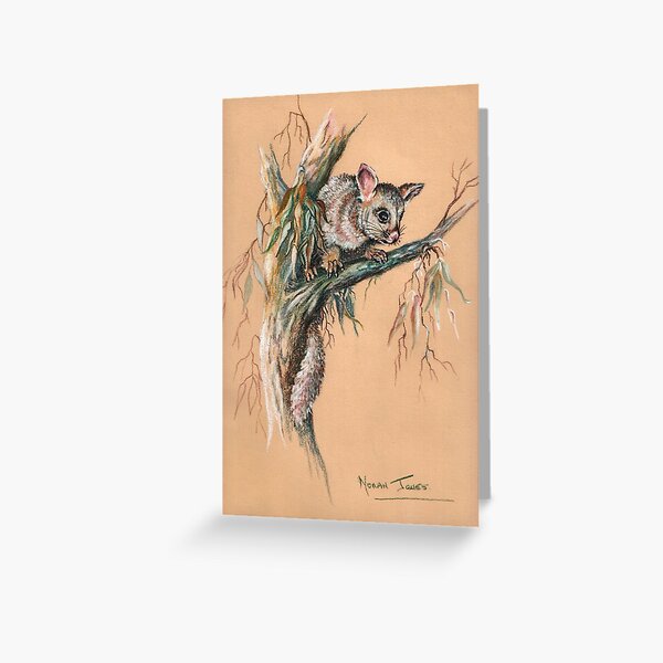 Brushtail Possum 2. Greeting Card