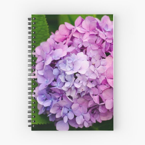 Item preview, Full Hydrangea  designed and sold by Allison Manson.