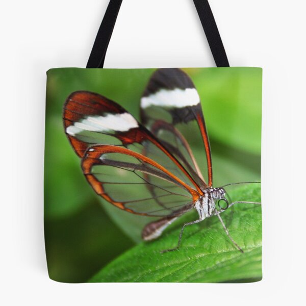 Item preview, Greta Oto with Wings of Glass designed and sold by Jo Nijenhuis.