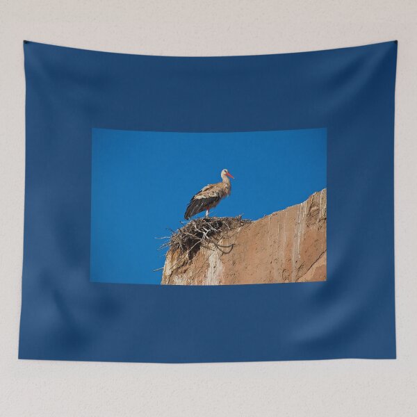 Item preview, Morocco. Marrakech. Stork on the old wall of Medina. designed and sold by vadim19.