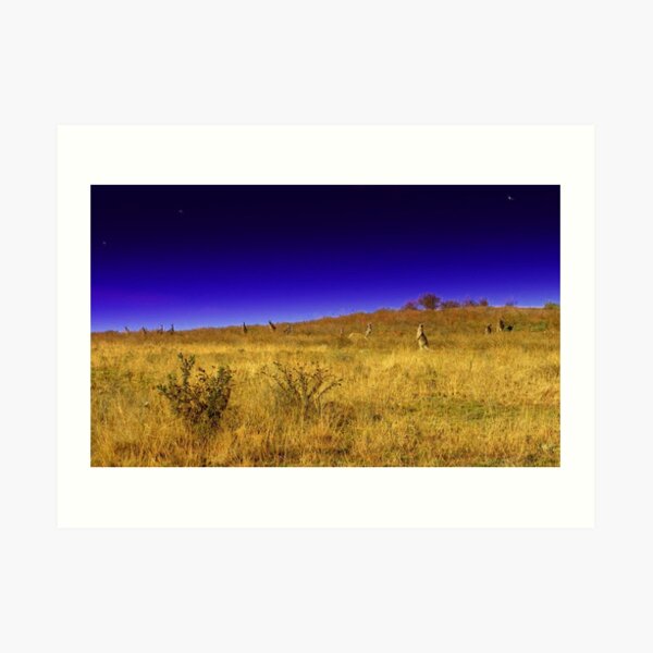 Rise and Shine Art Print