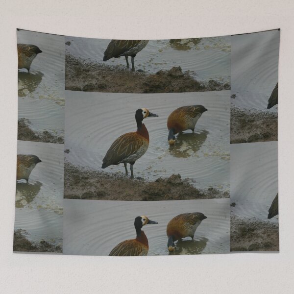 Item preview, African Duck Pair designed and sold by Totallyalive.