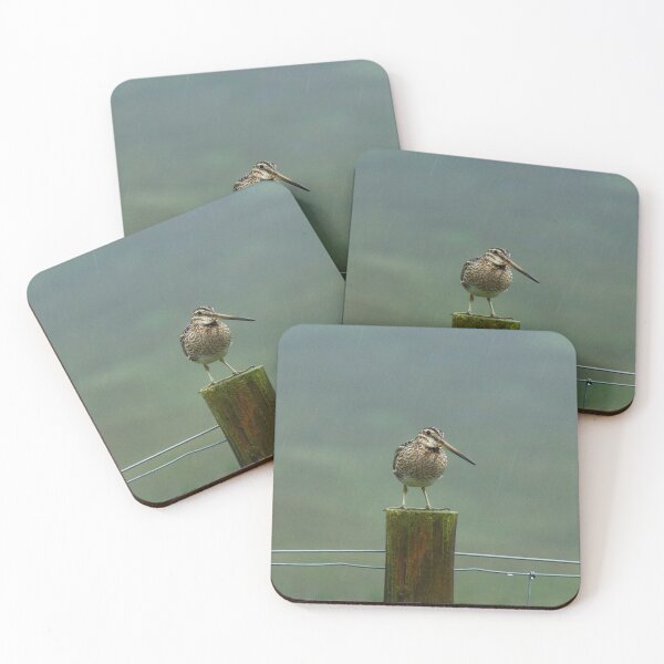 Item preview, Snipe On A Rainy Day In Sutherland designed and sold by Jamie  Green.