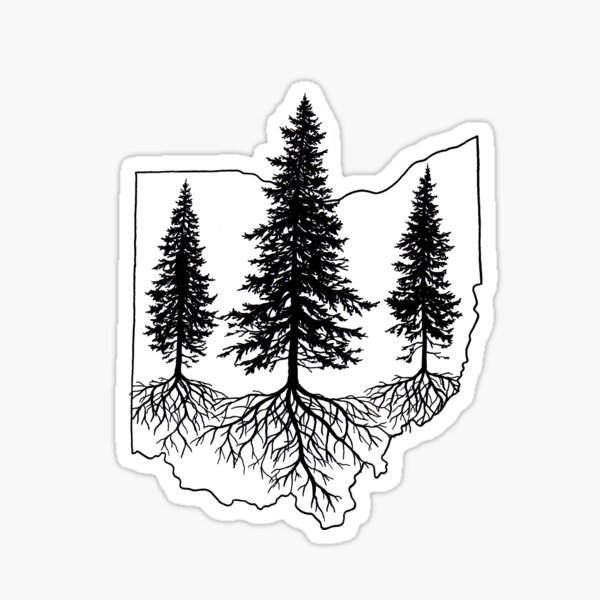 Pine Trees in Ohio Sticker