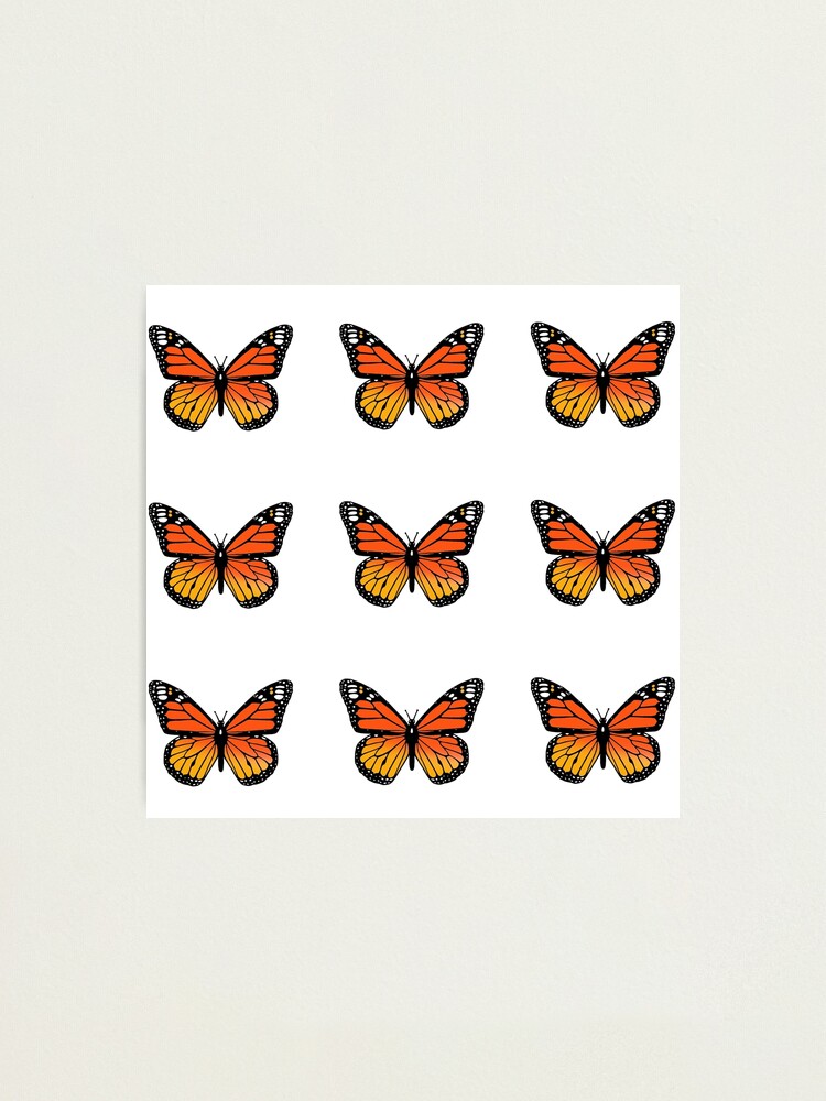 Monarch Butterfly Needle Felted Wall Decor — Weasyl