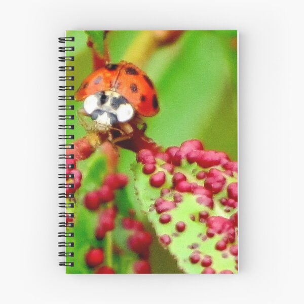Item preview, Do I Clash With These Spots? designed and sold by Jean Gregory Evans.