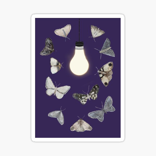 Item preview, Moths to a Lightbulb designed and sold by Amy Hadden.