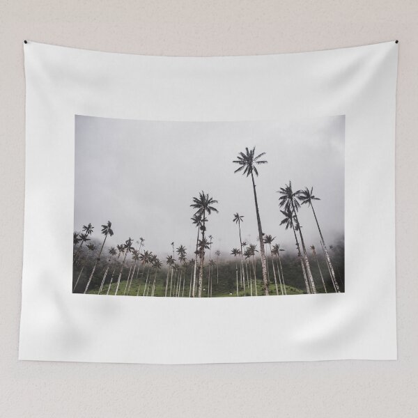 Item preview, Misty day amongst palm tree forest in Colombia designed and sold by L Sq.