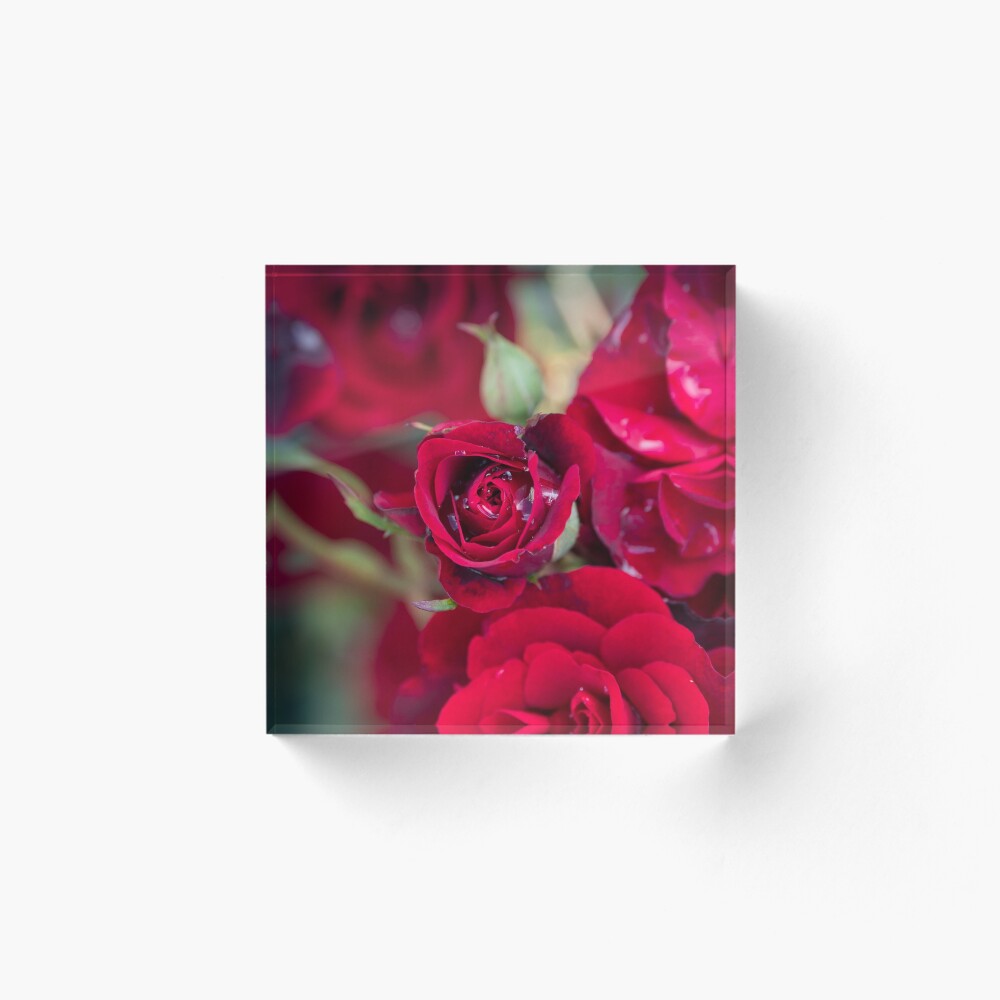 Item preview, Acrylic Block designed and sold by crissyimagery.
