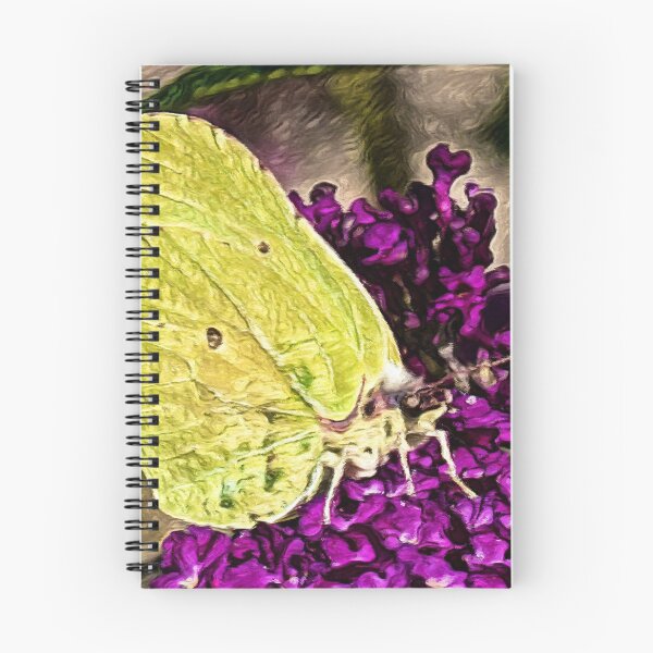 Item preview, Luna Moth | Painting  designed and sold by Christopher Taylor.
