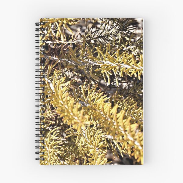 Item preview, Grevillea designed and sold by Margaret Stevens.