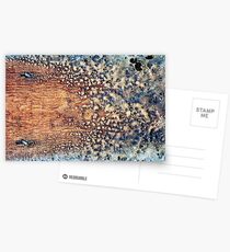 bitter sweet Postcards