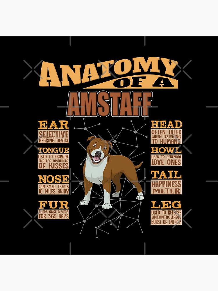 Anatomy Of A American Staffordshire Terrier - Funny American Staffordshire Terrier Design by dog-gifts