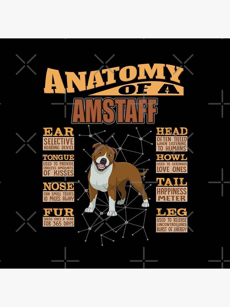 Anatomy Of A American Staffordshire Terrier - Funny American Staffordshire Terrier Design by dog-gifts