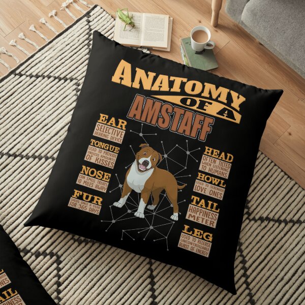 18x18 Dogs 365 Anatomy of a Dachshund Dog Funny Gift Throw Pillow Multicolor 18x18 Dogs 365 Anatomy of a Dachshund Dog Funny Gift Throw Pillow Multicolor