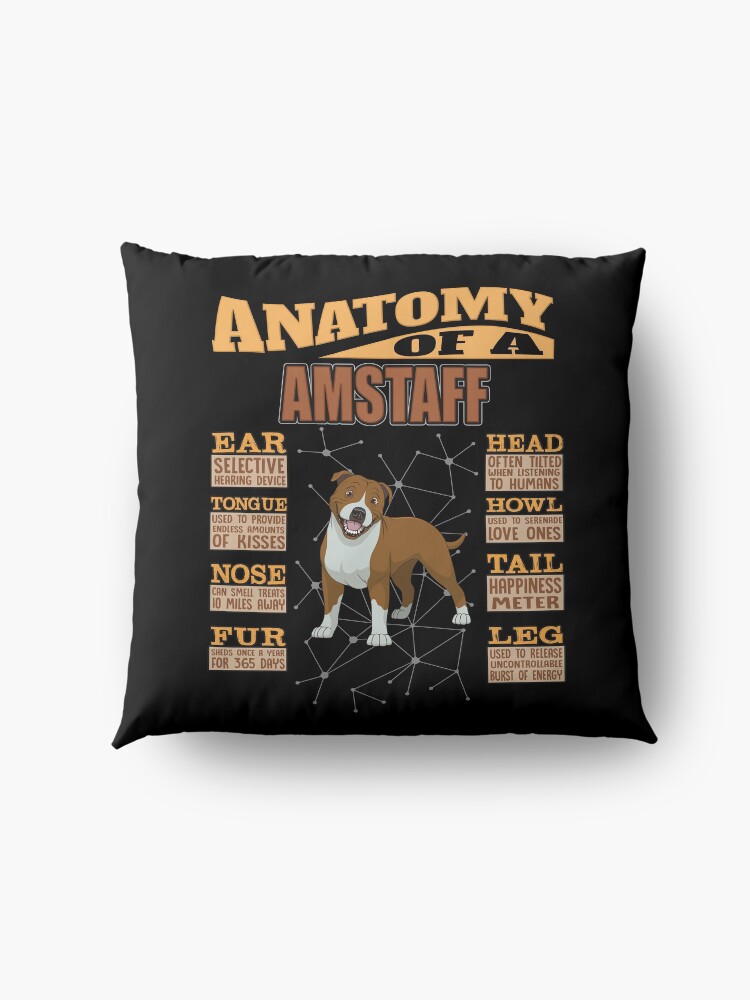 Alternate view of Anatomy Of A American Staffordshire Terrier - Funny American Staffordshire Terrier Design Floor Pillow
