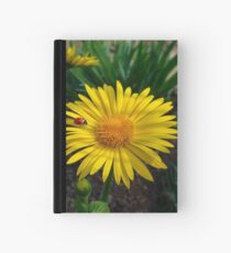 Walking on the Sun Hardcover Journal