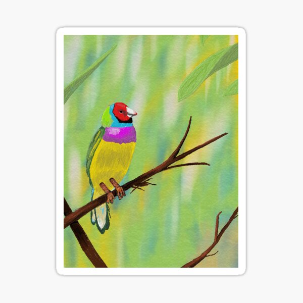 Gouldian Finch Stickers | Redbubble