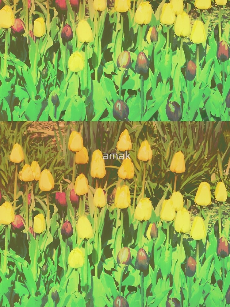 Card: Tulips by amak