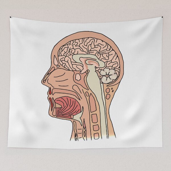 Item preview, Midsagittal Brain Cross Section designed and sold by BundaBear.