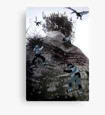 Tree Climbers Canvas Print