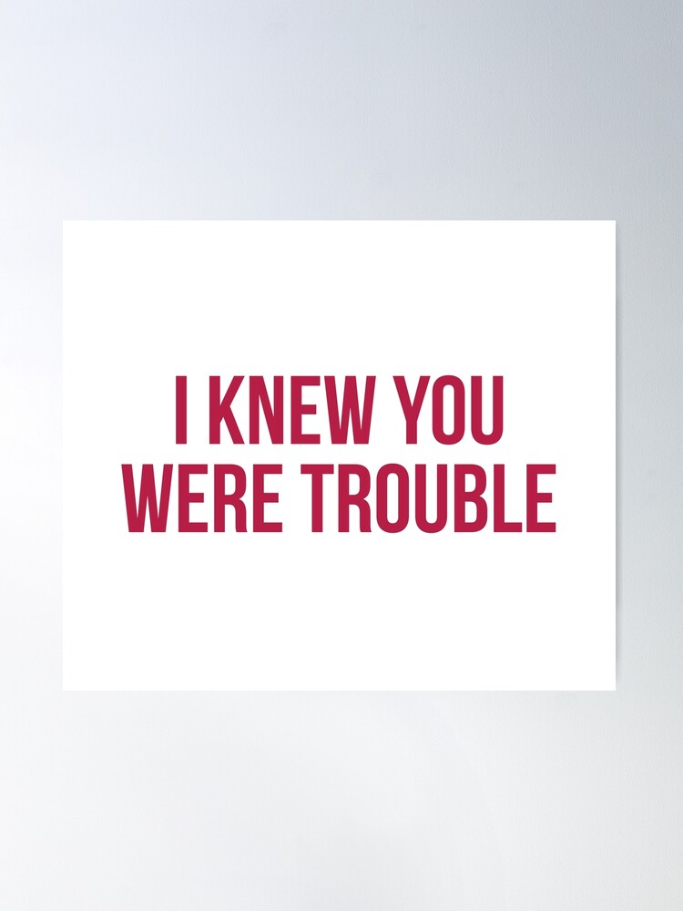 I knew you were trouble poster  Taylor songs, Taylor swift lyrics, Taylor  swift album