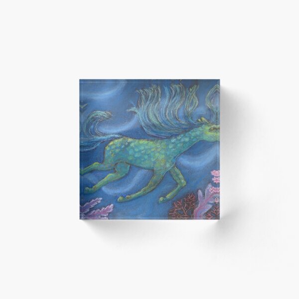 Happy horse swimming in coral sea Acrylic Block