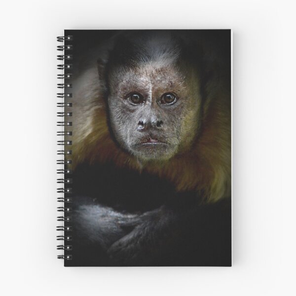 Item preview, Looking into your soul...... designed and sold by patcheah.