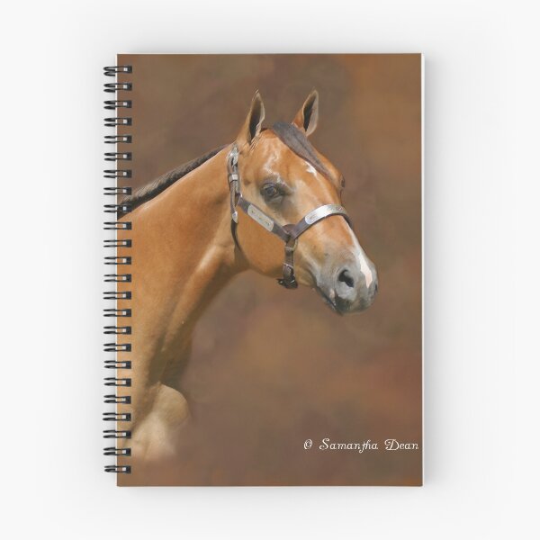 Item preview, Buckskin Beauty designed and sold by ibgraffix.