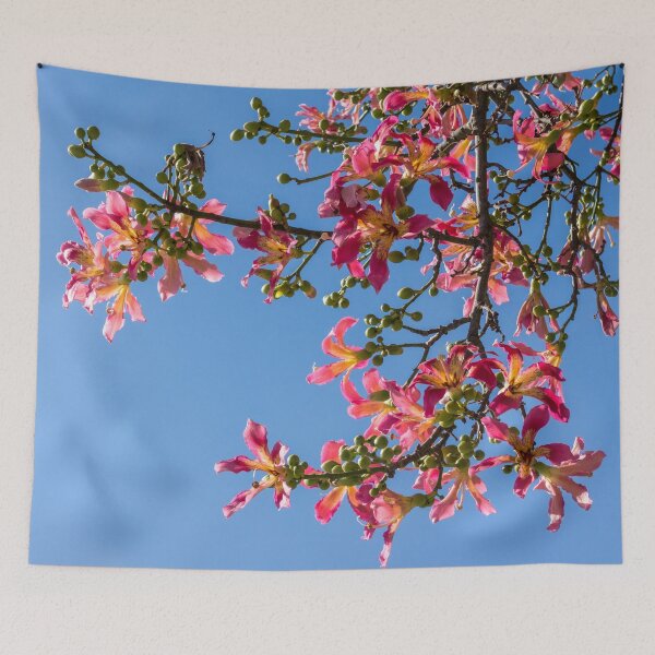 Item preview, Vivacious Exotic Blooms - Flowering Silk Floss Tree Ceiba Speciosa  designed and sold by Georgia Mizuleva.