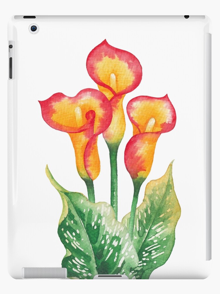 Funda y vinilo para iPad «Acuarela lirio de cala» de Glazkova | Redbubble