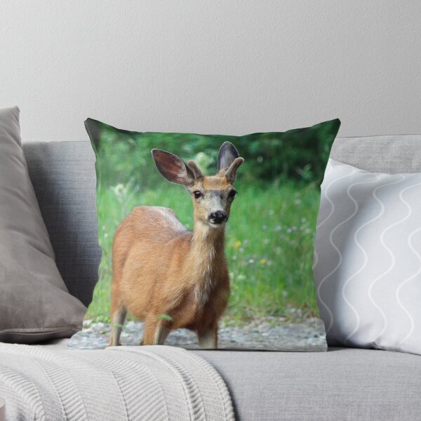 Item preview, Beautiful  Mule Deer designed and sold by Teresa Zieba.