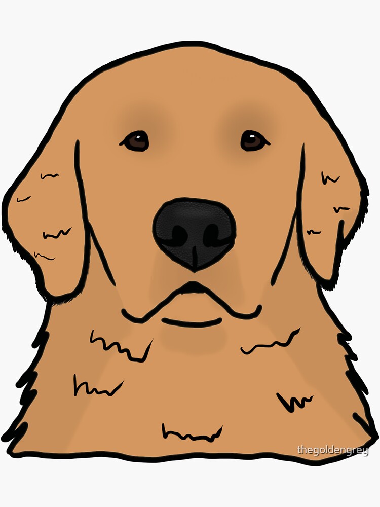 "Golden Retriever Head" Sticker for Sale by thegoldengrey Redbubble