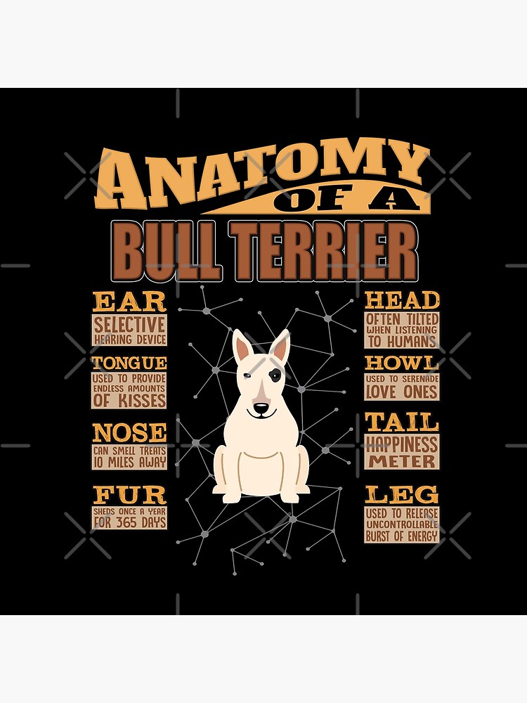 Anatomy Of A Bull Terrier - Funny Bull Terrier Design by dog-gifts