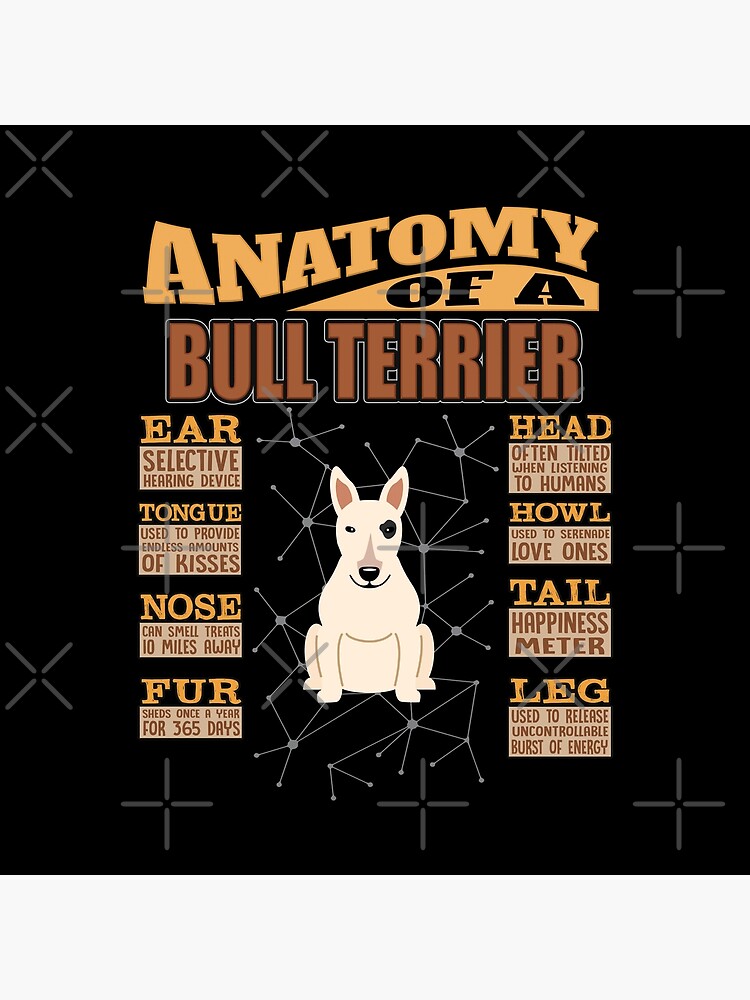 Anatomy Of A Bull Terrier - Funny Bull Terrier Design by dog-gifts