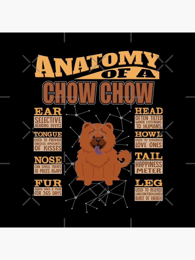 Anatomy Of A Chow Chow - Funny Chow Chow Design by dog-gifts