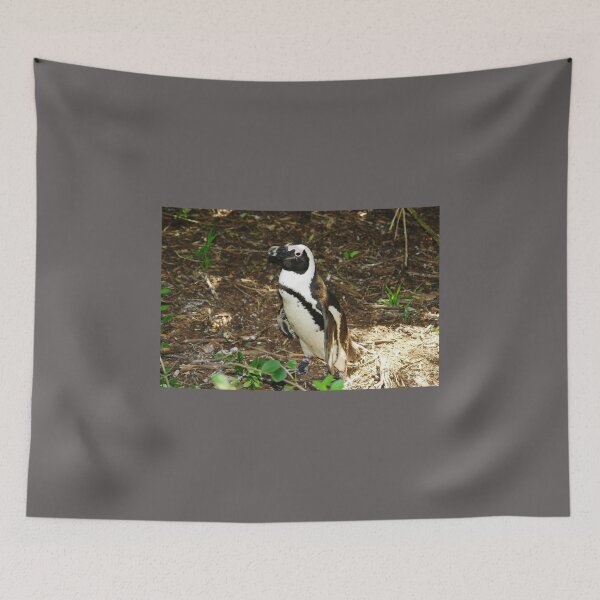 Item preview, Jackass Penguins of South Africa designed and sold by 2CrabbySisters.