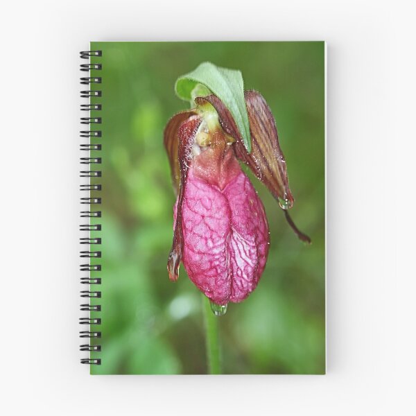 Item preview, Moccasin Flower designed and sold by Teresa Zieba.