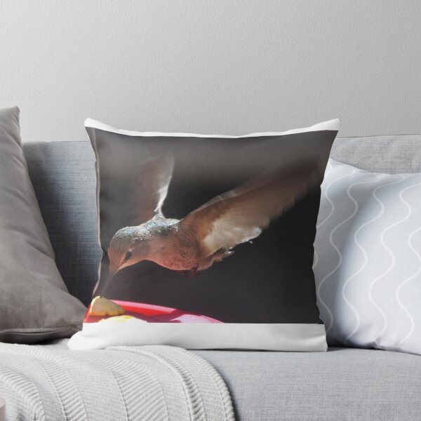 Item preview, ADOLESCENT  FEMALE ANNA'S HUMMINGBIRD IN FLIGHT designed and sold by JAYMILO.