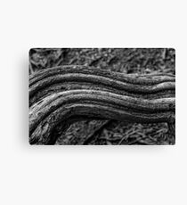 Vine Lines Canvas Print
