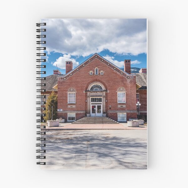 Item preview, The Metaline Falls School designed and sold by Bryan Spellman.