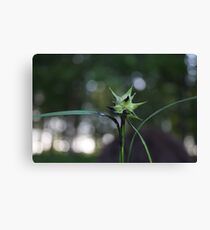 Danger Canvas Print