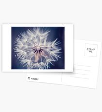 Dandelion Blue Postcards