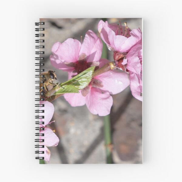 Item preview, Bee Happy; Do you have your Nectar Card? designed and sold by JohnYoung.