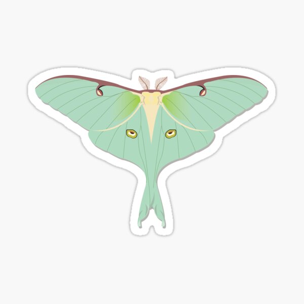 Luna Moth Sticker – Ketsol